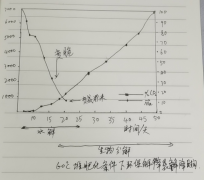 環(huán)保降解袋的分解原理-降解袋是怎么降解的？